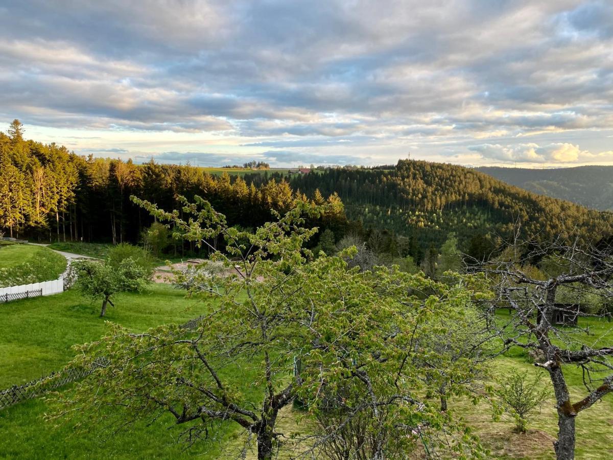 Ferienhaus Mit 5* Luxus Im Schwarzwald Gemeinde Gemeinde Aichhalden エクステリア 写真
